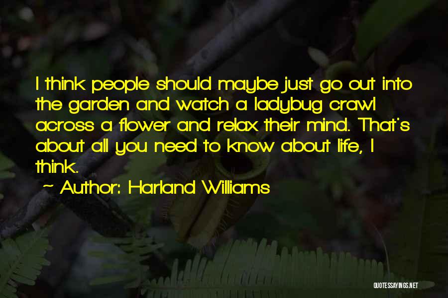 Ladybug Quotes By Harland Williams