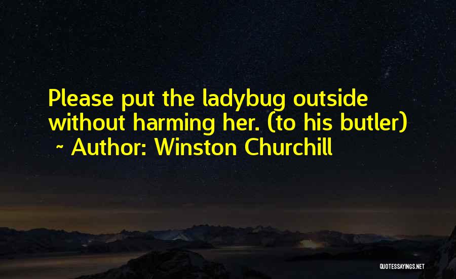 Ladybug Quotes By Winston Churchill