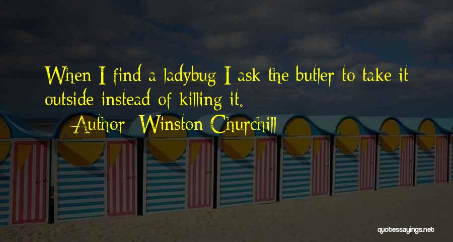 Ladybug Quotes By Winston Churchill