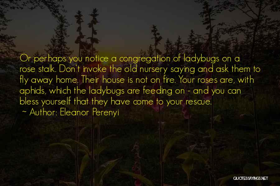 Ladybugs Quotes By Eleanor Perenyi