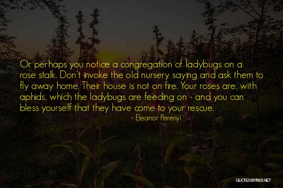 Ladybugs Quotes By Eleanor Perenyi