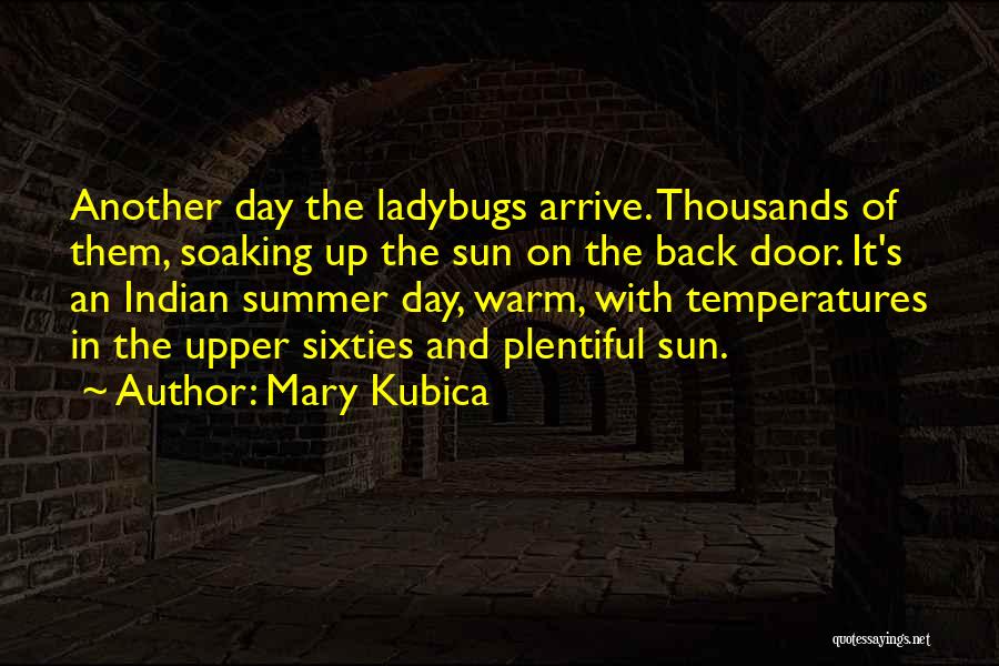 Ladybugs Quotes By Mary Kubica