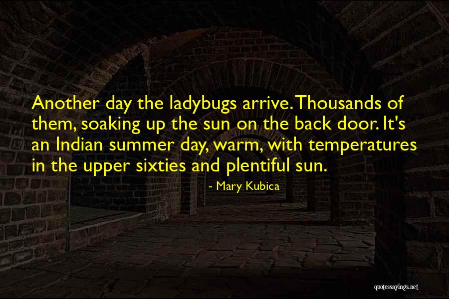 Ladybugs Quotes By Mary Kubica