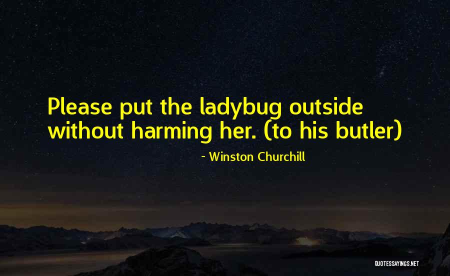 Ladybugs Quotes By Winston Churchill