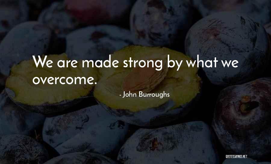 Laesa Dominican Quotes By John Burroughs
