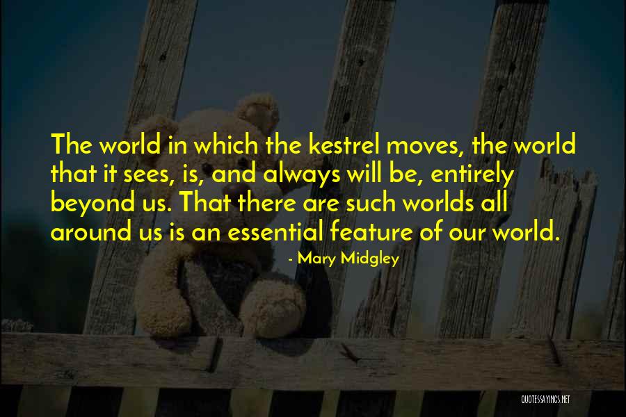 Laetari Quotes By Mary Midgley Laetari Quotes By Mary Midgley