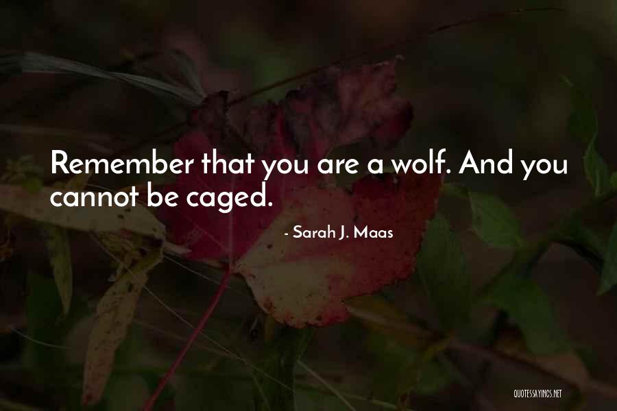 Laeticia Boudou Quotes By Sarah J. Maas