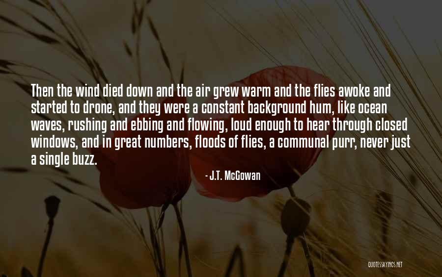 Lafcadio By Shel Quotes By J.T. McGowan Lafcadio By Shel Quotes By J.T. McGowan