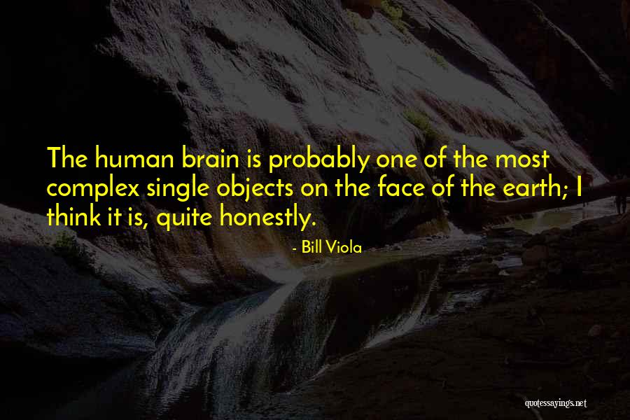 Lafcadio The Lion Quotes By Bill Viola Lafcadio The Lion Quotes By Bill Viola