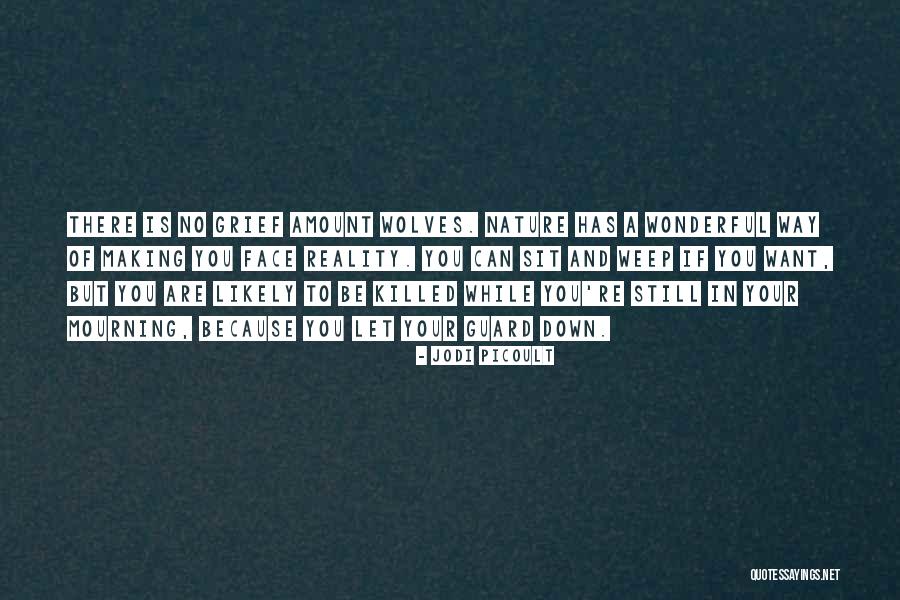 Laffaire Pelican Quotes By Jodi Picoult Laffaire Pelican Quotes By Jodi Picoult