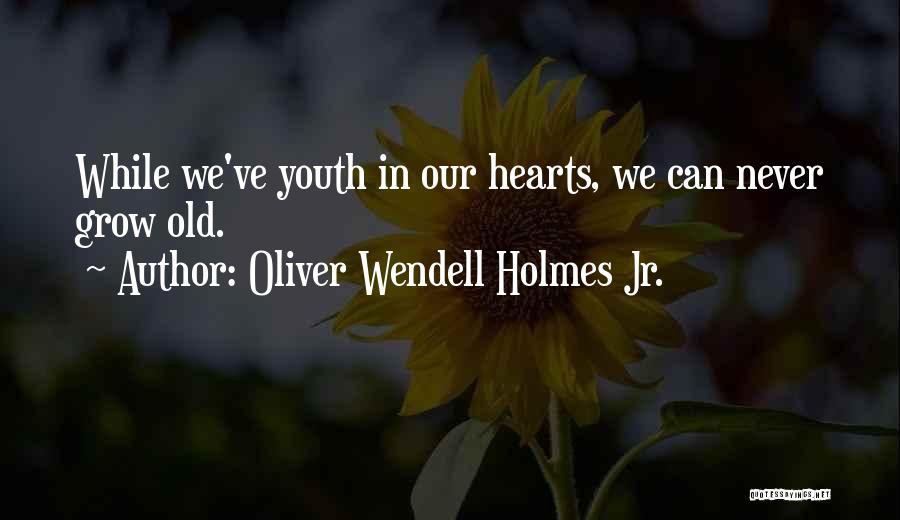 Lafley Mio Quotes By Oliver Wendell Holmes Jr.