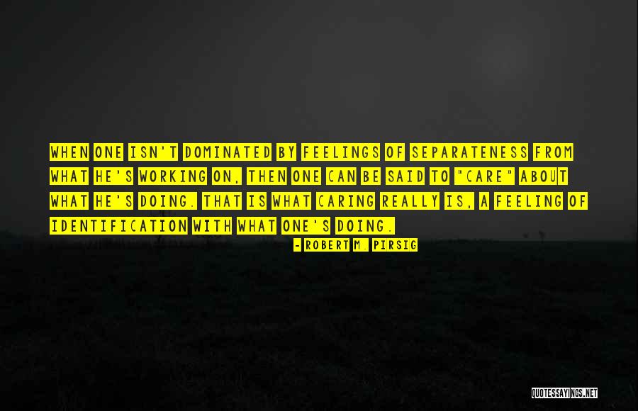 Lafrenaie Lasalle Quotes By Robert M. Pirsig Lafrenaie Lasalle Quotes By Robert M. Pirsig