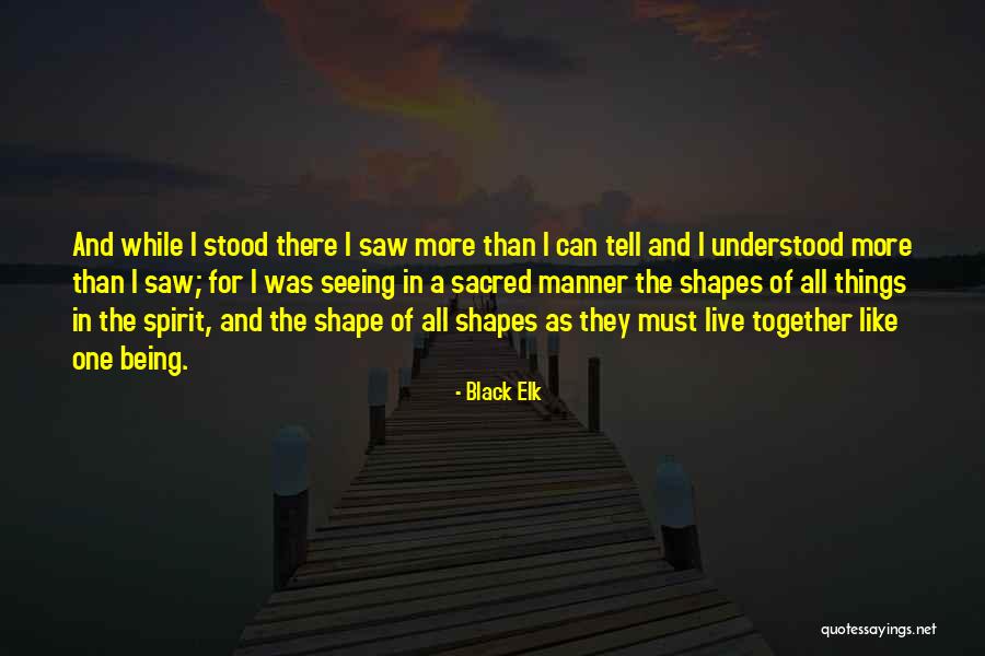 Lagana Tomahawk Quotes By Black Elk Lagana Tomahawk Quotes By Black Elk