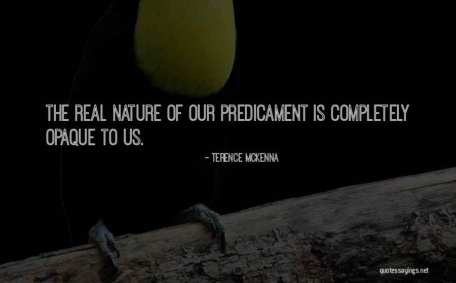Lagardere Lovag Quotes By Terence McKenna Lagardere Lovag Quotes By Terence McKenna