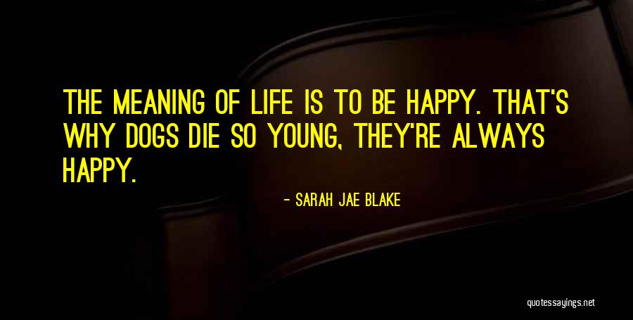 Lagence Chamberlain Quotes By Sarah Jae Blake Lagence Chamberlain Quotes By Sarah Jae Blake