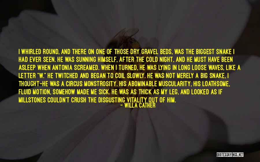 Laggan Quotes By Willa Cather Laggan Quotes By Willa Cather