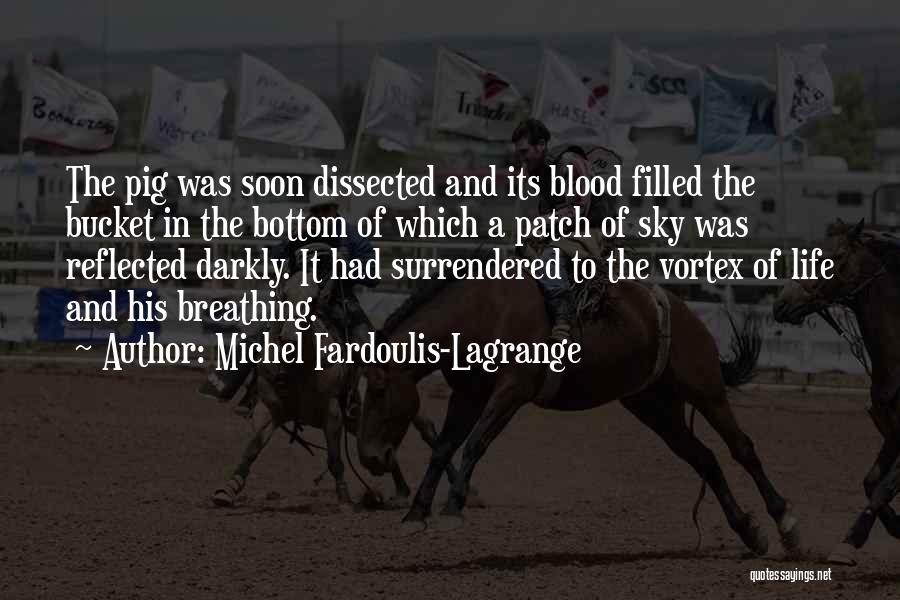 Lagrange Quotes By Michel Fardoulis-Lagrange