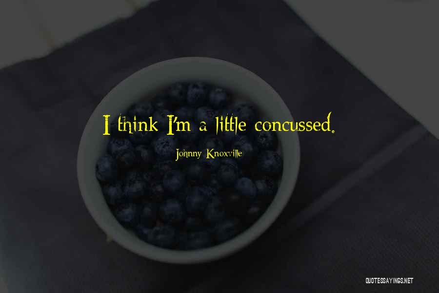 Lagrene Bireli Quotes By Johnny Knoxville Lagrene Bireli Quotes By Johnny Knoxville