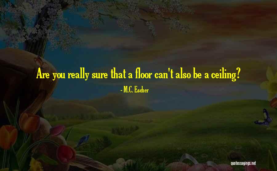 Lagtrain Quotes By M.C. Escher Lagtrain Quotes By M.C. Escher