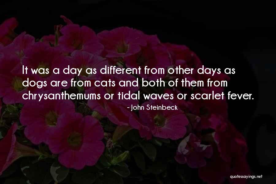 Laguerta Actress Quotes By John Steinbeck Laguerta Actress Quotes By John Steinbeck