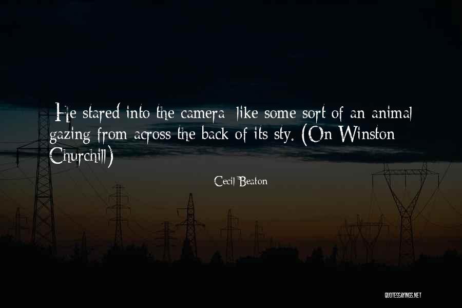 Laharts Quotes By Cecil Beaton Laharts Quotes By Cecil Beaton