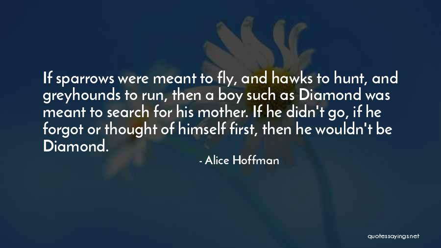 Lahitte Sprague Quotes By Alice Hoffman Lahitte Sprague Quotes By Alice Hoffman