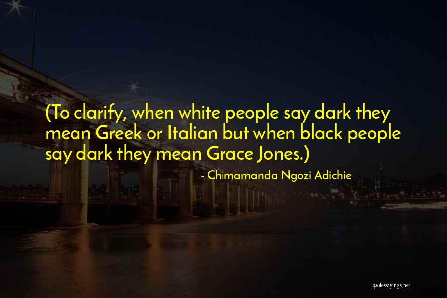Laiba Khan Quotes By Chimamanda Ngozi Adichie