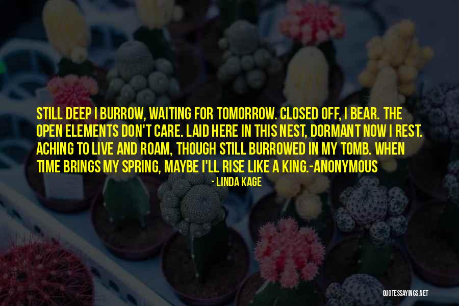 Laid To Rest Quotes By Linda Kage Laid To Rest Quotes By Linda Kage