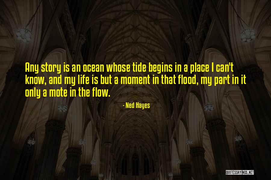 Laider Plastic Quotes By Ned Hayes Laider Plastic Quotes By Ned Hayes