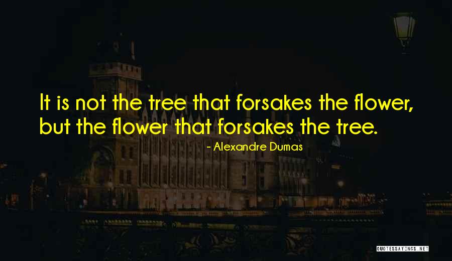 Laime Quotes By Alexandre Dumas Laime Quotes By Alexandre Dumas