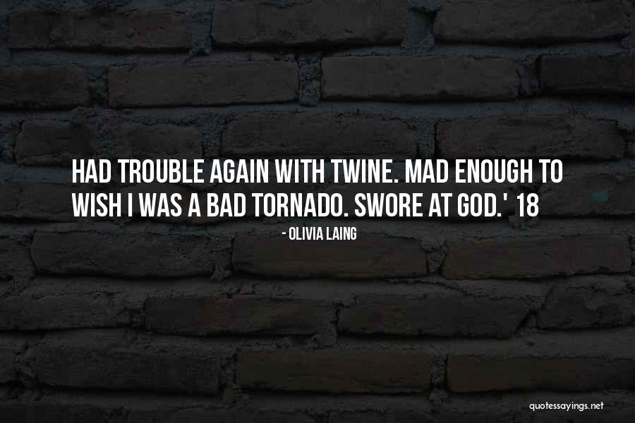 Laing Quotes By Olivia Laing Laing Quotes By Olivia Laing