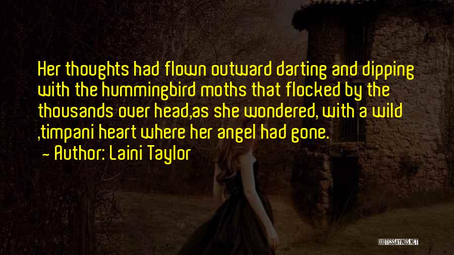 Laini Taylor Quotes 1979418