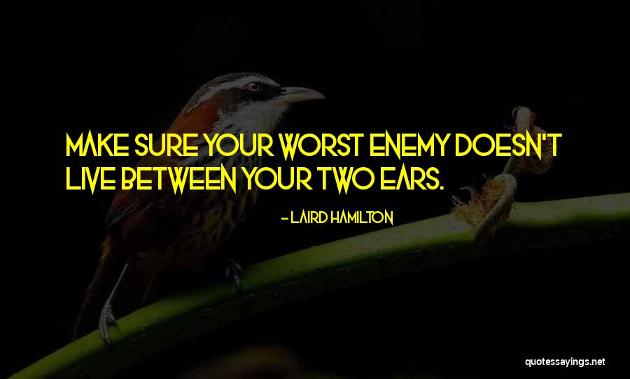 Laird Hamilton Quotes 2135020 Laird Hamilton Quotes 2135020