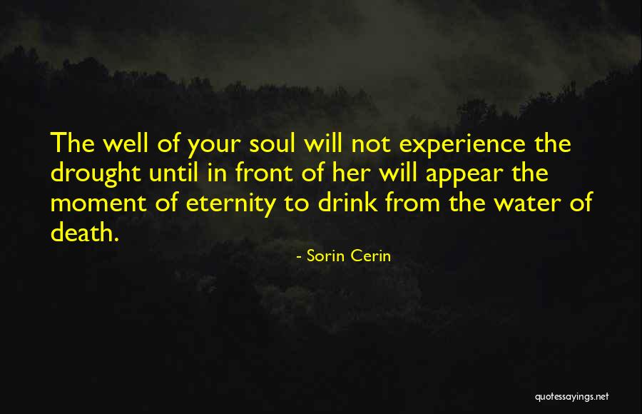 Lairtherubeard Quotes By Sorin Cerin Lairtherubeard Quotes By Sorin Cerin