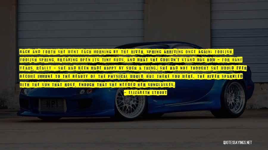 Lairy Carter Quotes By Elizabeth Strout Lairy Carter Quotes By Elizabeth Strout
