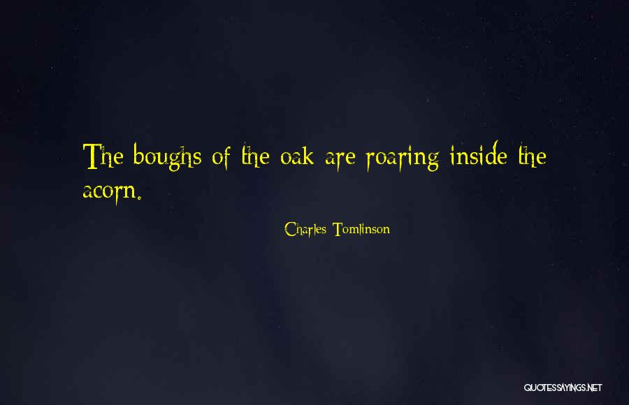 Laity Lodge Quotes By Charles Tomlinson