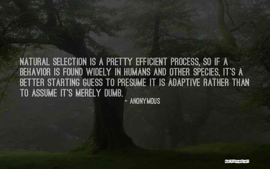 Lajeunesse High School Quotes By Anonymous Lajeunesse High School Quotes By Anonymous