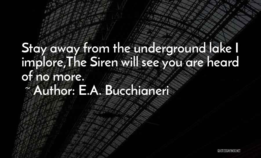 Lake House Quotes By E.A. Bucchianeri