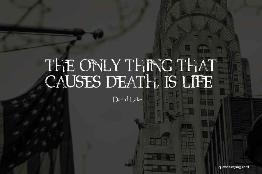 Lake Life Quotes By David Lake