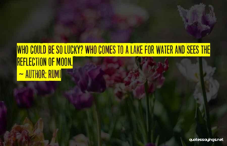 Lake Reflection Quotes By Rumi