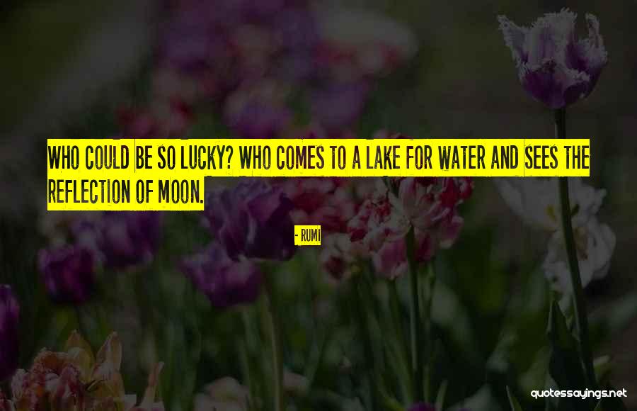 Lake Reflection Quotes By Rumi