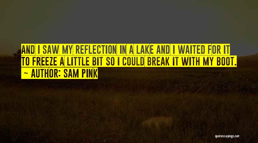 Lake Reflection Quotes By Sam Pink