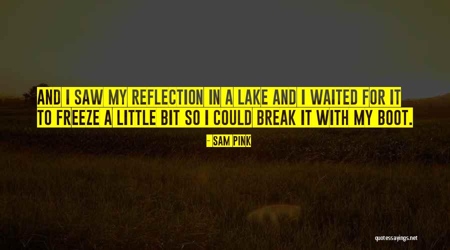 Lake Reflection Quotes By Sam Pink