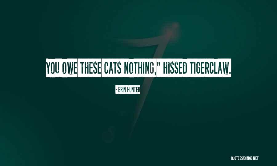 Lakeline Quotes By Erin Hunter Lakeline Quotes By Erin Hunter