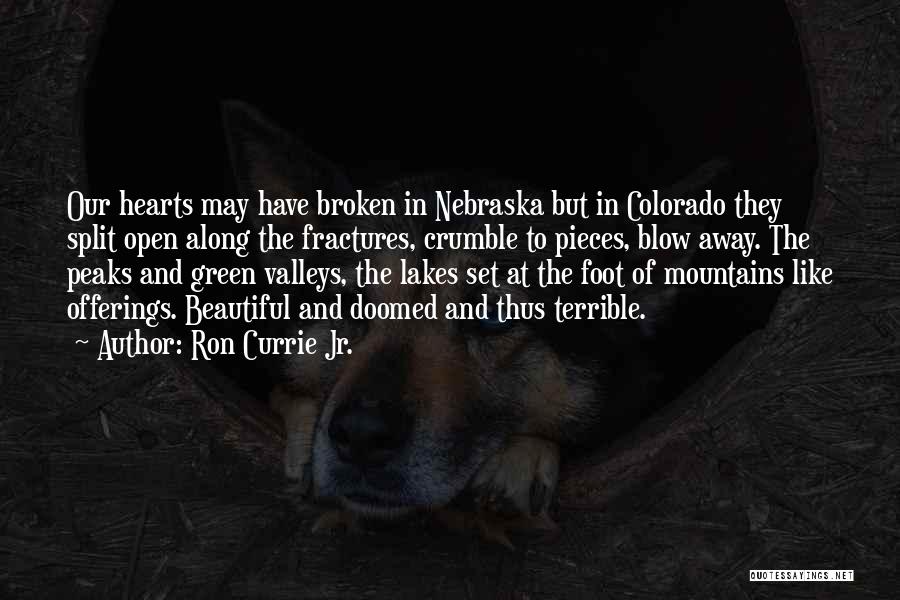 Lakes And Mountains Quotes By Ron Currie Jr.