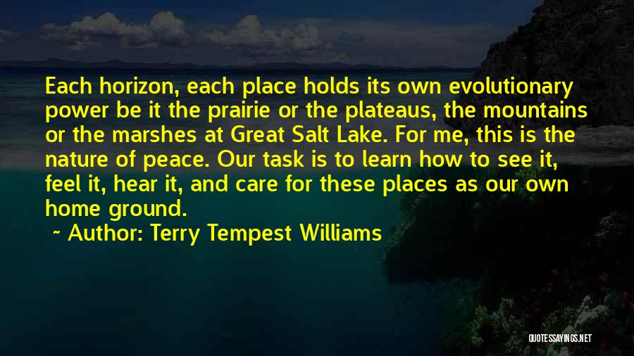 Lakes And Mountains Quotes By Terry Tempest Williams