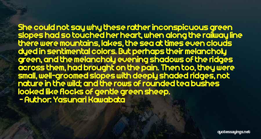 Lakes And Mountains Quotes By Yasunari Kawabata