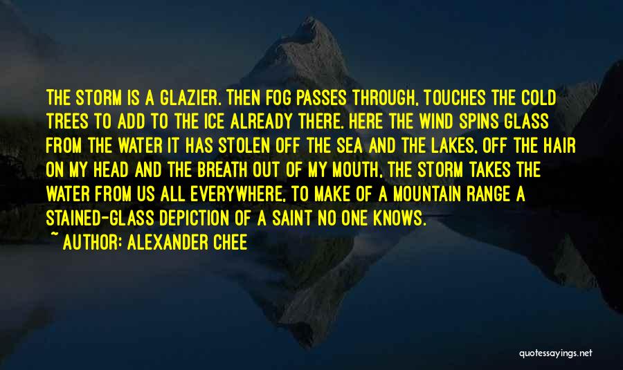 Lakes And Water Quotes By Alexander Chee