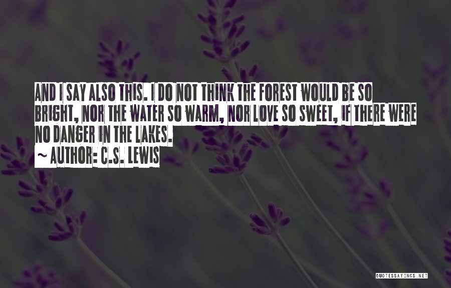 Lakes And Water Quotes By C.S. Lewis