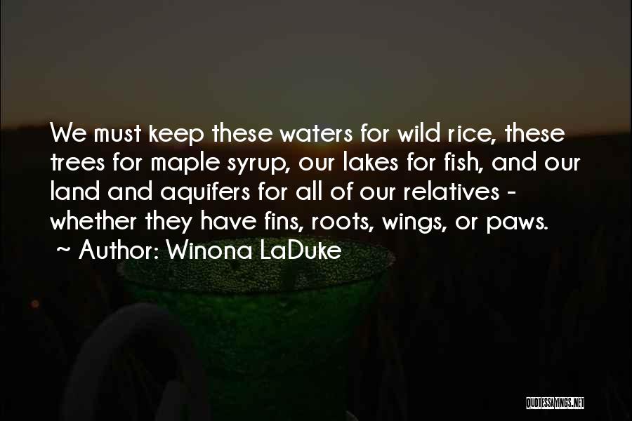 Lakes And Water Quotes By Winona LaDuke